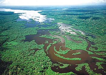 Imagem aérea da Reserva Amanã